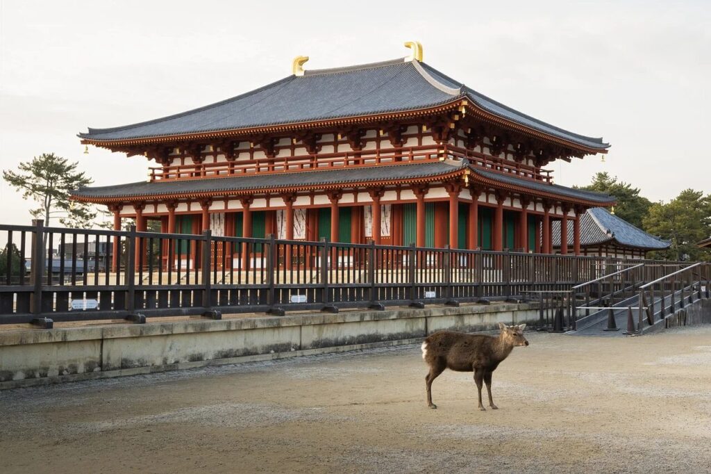 奈良県・奈良市の口コミが良く安い遺品整理・生前整理の優良業者おすすめ10社！