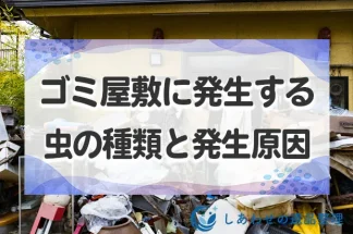 ゴミ屋敷に発生する虫の種類と発生原因！放置すると健康被害の危険があるので対策を！