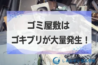 ゴミ屋敷はゴキブリが大量発生！その数1000匹？今すぐ片付けと駆除を！