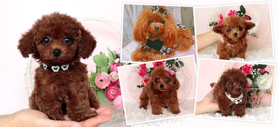 ブンゴヒルズでしあわせの遺品整理が登載されました。