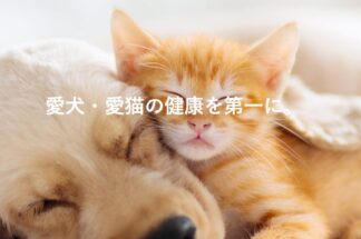 わんにゃんベストでしあわせの遺品整理が掲載されました。