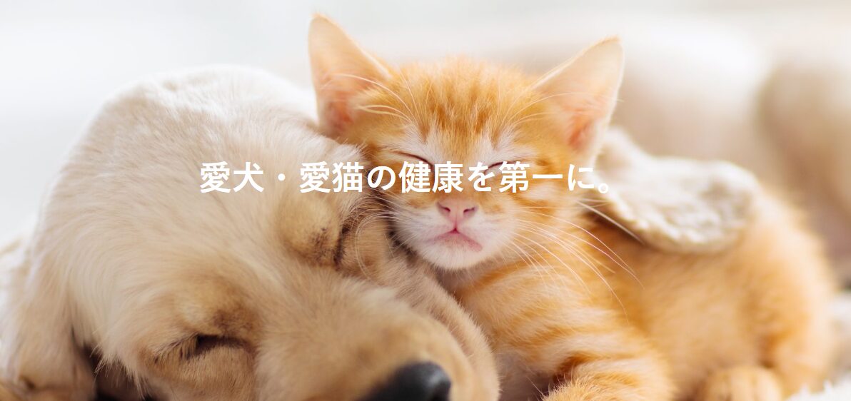 わんにゃんベストでしあわせの遺品整理が掲載されました。